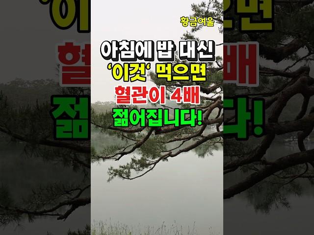 ️ 아침에 ‘이것’만 바꿨더니… 혈관이 20대처럼! #shorts#혈관건강#아침식사추천#밥대신이것#혈관젊어지는법#중장년건강#건강식습관#심혈관질환예방#건강정보#아침식단#혈관청소음식
