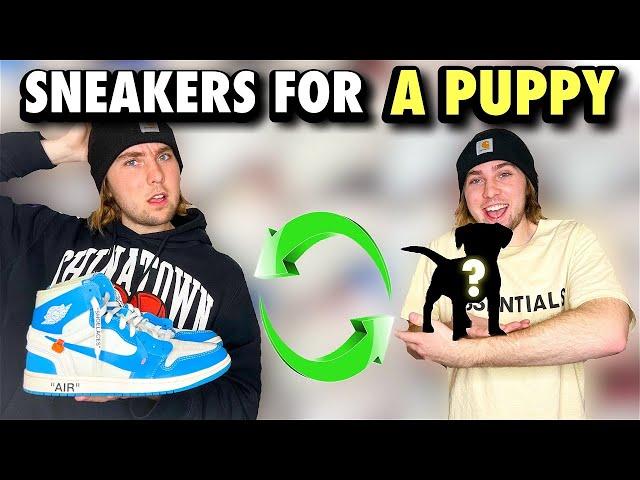 I TRADED SNEAKERS FOR A PUPPY!?!