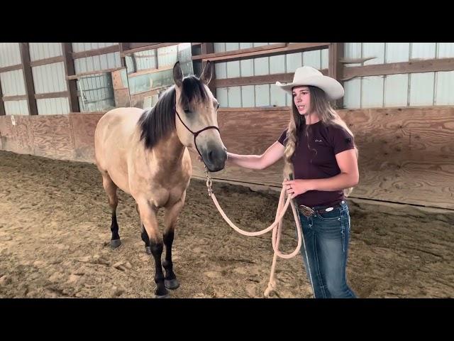 Do you use the lead rope wiggle to back your horse? Here’s why I don’t like it…