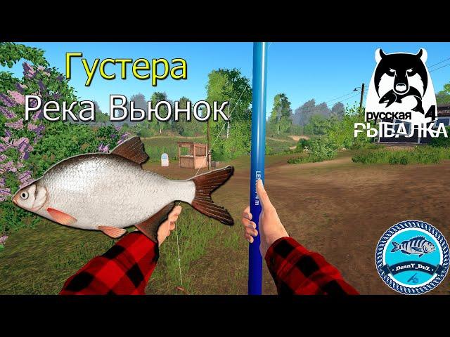 Густера на реке Вьюнок - Русская Рыбалка 4