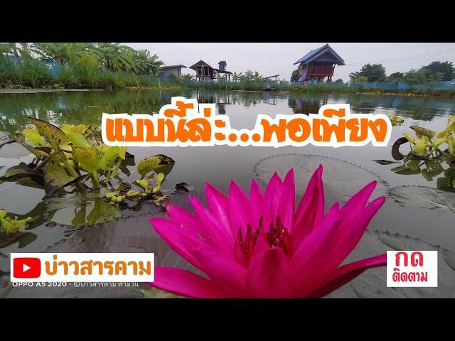ปลูกเองกินเอง วิถีชีวิตแบบพอเพียง บ้านนาสารคาม @bowsaraklampamuan