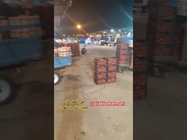 حق العمل کاری میدان تره بار    صادرات. #سیر#خیار#سیب_زمینی#پیاز#گوجه#کاهو#انبه#aliakbarkermani#پیاز