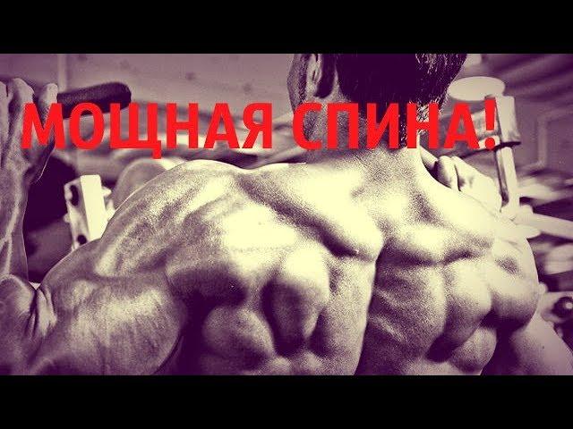Упражнения для мышц спины!       Back muscle exercises