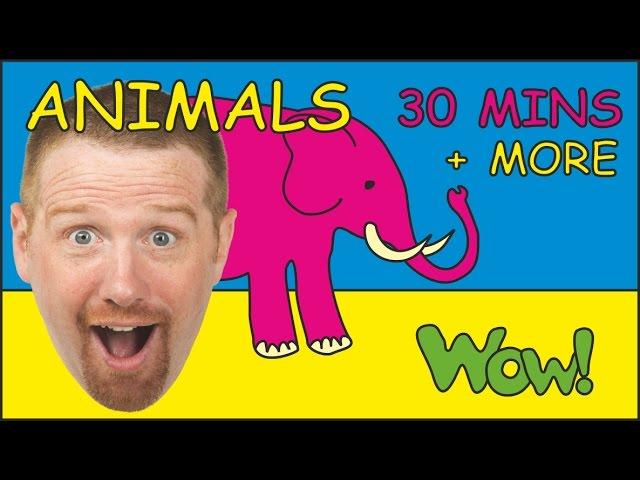 Safari Animals + More | Animal Songs for Children by Steve and Maggie | Collection Stories for Kids