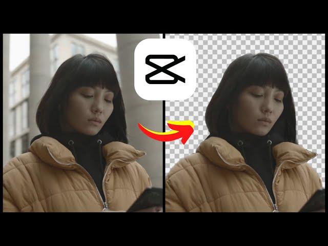 How To Remove Video Background In CapCut (NO GREEN SCREEN) 2023