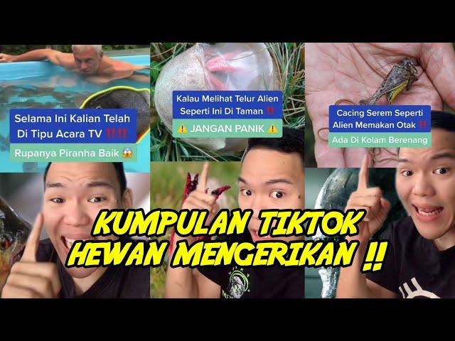 Kumpulan tiktok hewan paling mengerikan ‼️️