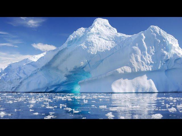 Antarctic and Southern Ocean Coalition