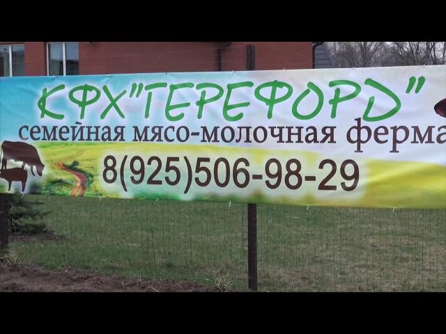 Презентация КФХ "Герефорд"