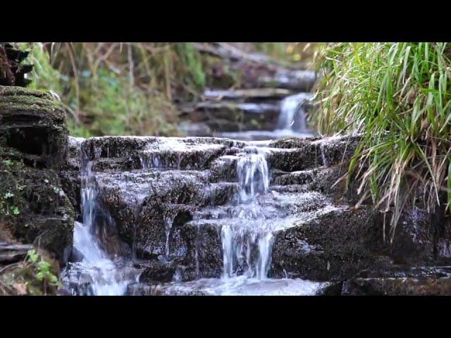 8 Hours Relaxing Waterfall Nature Sounds Calming Birdsong Sound of Water Forest Relaxation