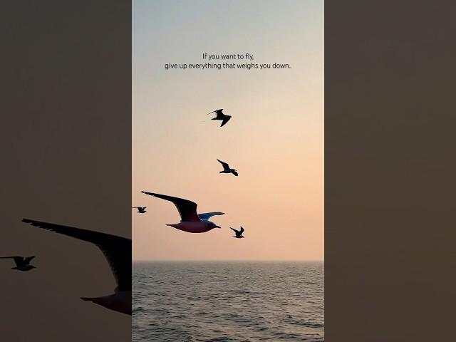 If you want to fly…#trending #shorts #viralvideo #quotes