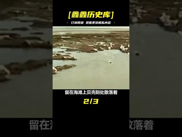 1964年，桑給巴爾大屠殺，3萬阿拉伯人遭屠戮，攝影者差點被殺 #歷史 #歷史故事 #中國歷史 #中國 #黃埔軍校
