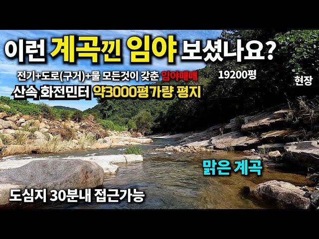 천연수영장 계곡이 바로앞에~ 이런 계곡낀 임야 보셨나요? ~도심지30분내 낮은경사 계곡접한 임야 표고200,경사도20도 전기+물+작업로까지모든것이갖춘임야 경북칠곡임야매매