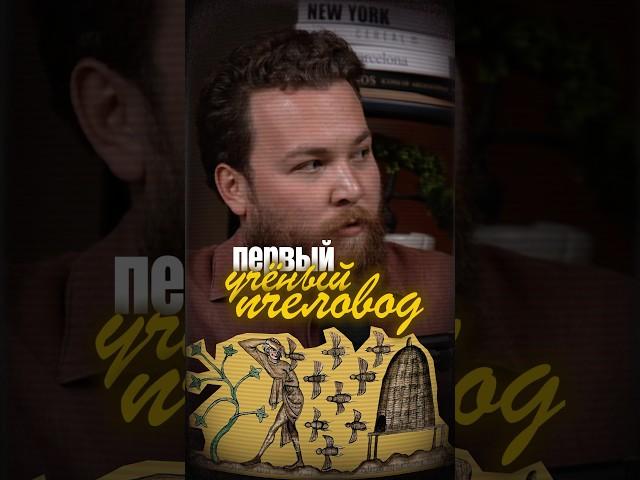Иван на пчелином подкасте. Историки на месте?