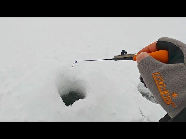 Рыбалка в декабре! НА простую мормышку.. ВИЖУ И ЛОВЛЮ! Плотва, окунь, щука. Мокрый лёд