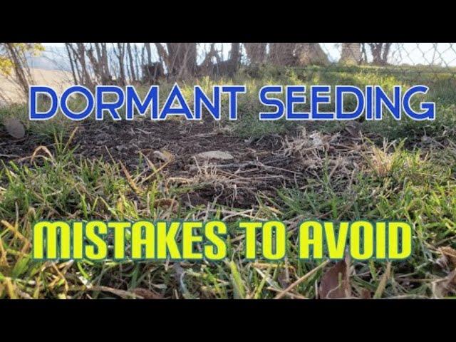 How & When To Dormant Seed A Lawn Or Patch Of Bare Soil
