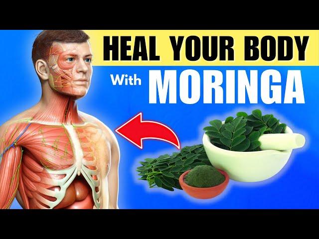 20 Amazing Benefits Of Moringa You Need To Know