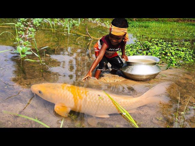 Amazing Hand Fishing Video | Traditional Boy Catching Fish By Hand in Pond Water