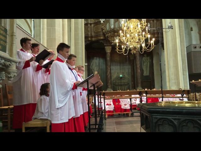 Sicut cervus - Da Palestrina (1525-1594) - Kampen Boys Choir olv Rintje te Wies