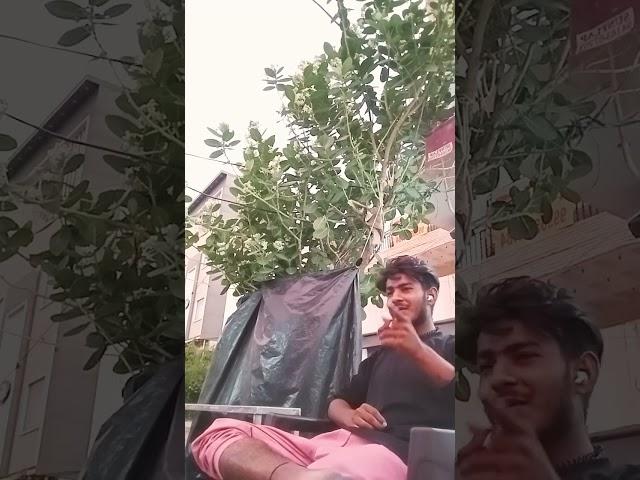 #love  #YouTubeshortviralvideo