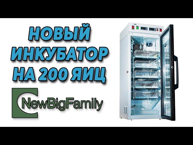 Обзор нового инкубатора NBF на 200 яиц. Или как получить максимально эффективное инкубирование.