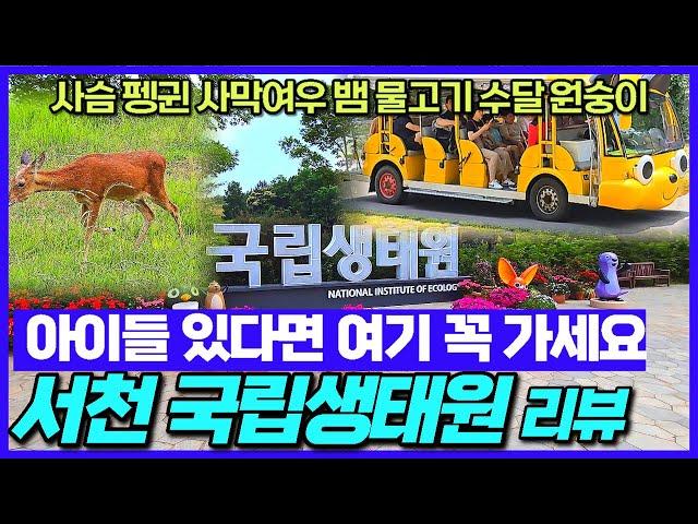 충남 서천 국립생태원 리뷰 야외편 - 한국에 이런곳이 있다니  / 사슴 펭귄 사막여우 뱀 원숭이 까지 / 군산갔다가 같이 가는곳 / 서천여행지