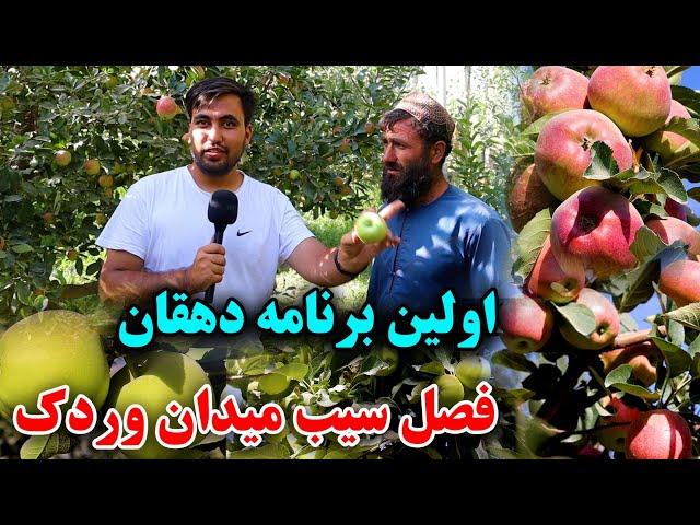 صادرات سیب میدان وردک به خارج از کشور| Midan Wardak Apple