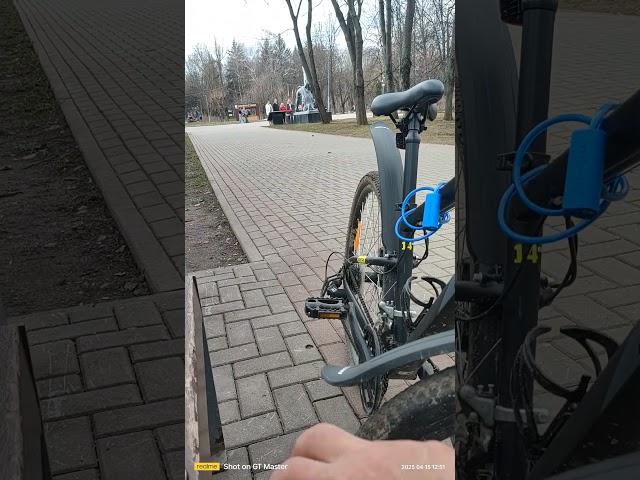 парк дубки