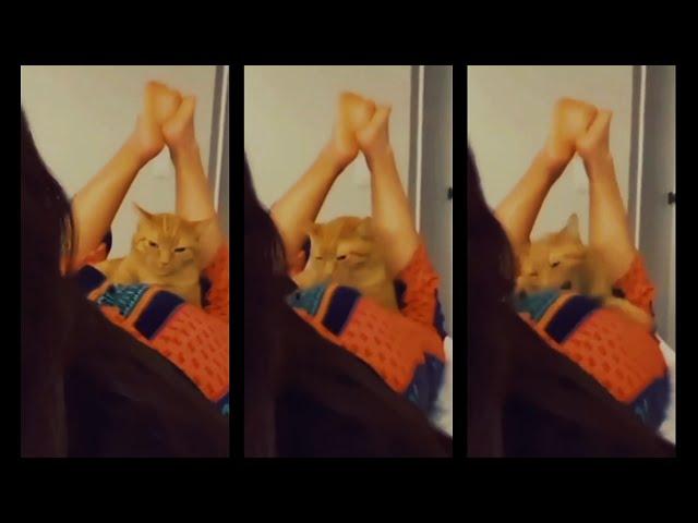 Animals being P**sy.. Funniest Animals doing stupid things | Epic Fail Videos | Fail Army