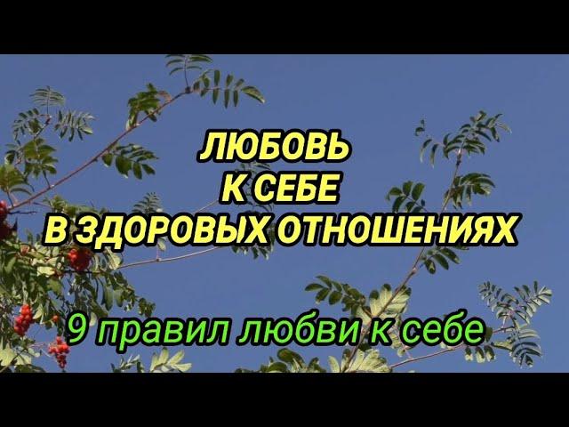 ЛЮБОВЬ К СЕБЕ В ЗДОРОВЫХ ОТНОШЕНИЯХ