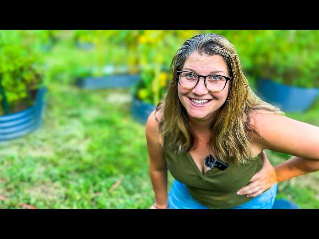 My Evening in the Garden // NEW Cucumber Trellis & SHOCKING HARVEST!