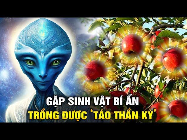 Ông Chủ Của Những Trái Táo Kỳ Lạ - Và Lần Chạm Trán Những Sinh Vật Bí Ẩn | Ngẫm Radio