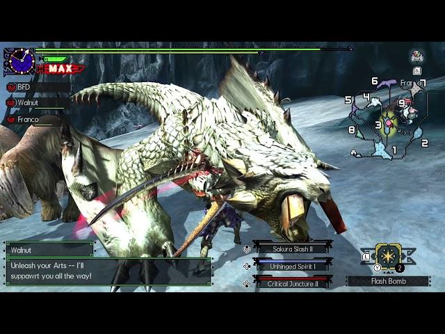 Monster Hunter Generations Ultimate: Barioth Boss Fight #50