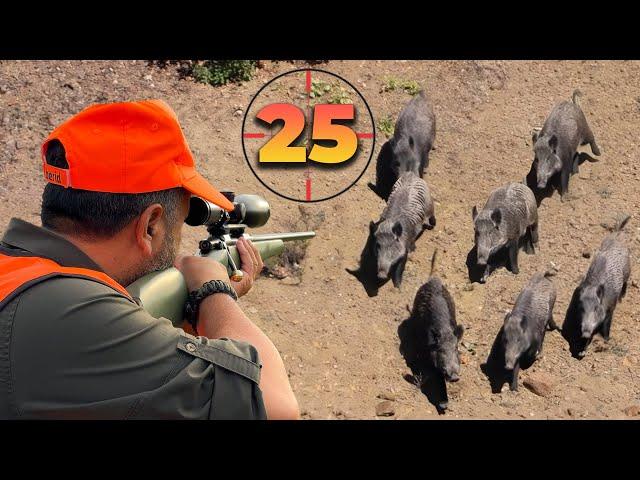 25 Perfect Shots in 14 Minutes | BEST Moments of WILD BOAR Hunts! 