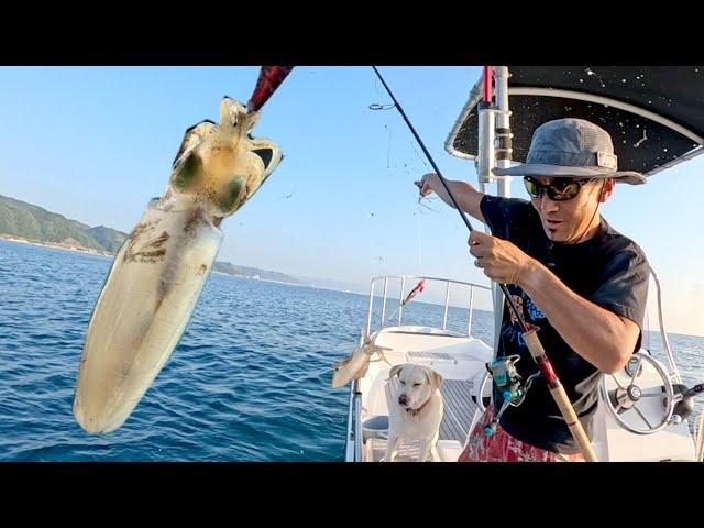 TIPRUN EGING: Japanese Squid Lure Fishing Technique