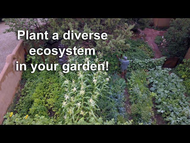 Planting an ecosystem in your garden!