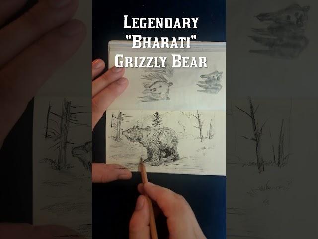 Bears! Here's to One Year of Drawing Like Arthur!  #rdr2 #drawing