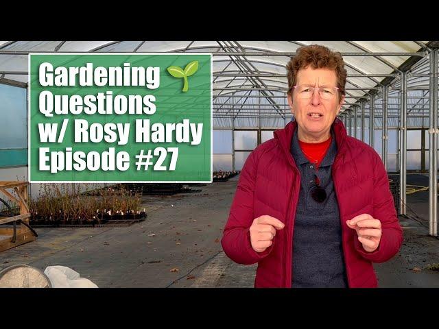 Winter Interest Shrubs for Clay? What Will Replace Peat? | Gardening Questions w/ Rosy Hardy