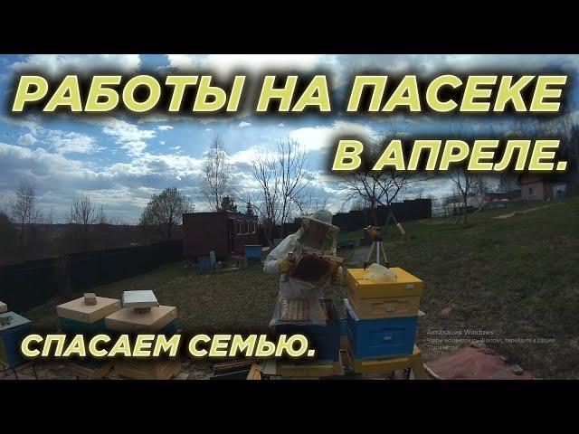 Работы на пасеке в апреле. Спасаем семью.