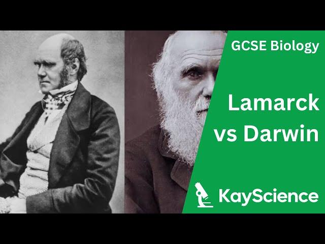 Lamarck vs Darwin - Biology GCSE | kayscience.com