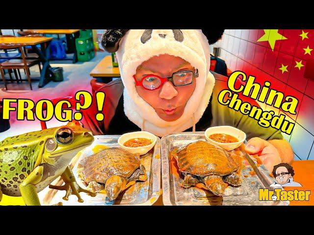 Surviving Spicy Sichuan Frog and Turtle in the City of Pandas, Chengdu, China