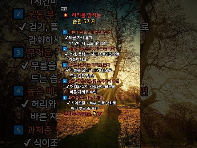 허리를 망치는 습관 5가지 #건강 #허리통증 #디스크예방 #바른자세 #좋은습관