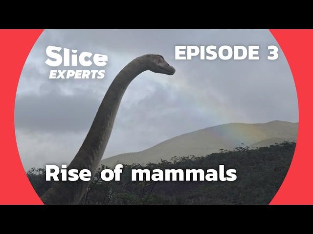 New Prehistory : Dawn of mammals | SLICE EXPERTS