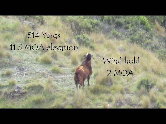 308 vs Beast of a goat. Long range hunting shot in slow mo!