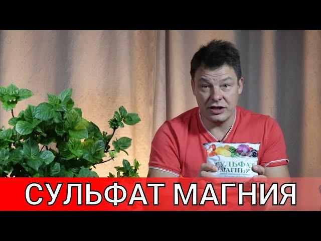 сульфат магния чудесное удобрение все о дозах способах внесения и дозировках которые применяю