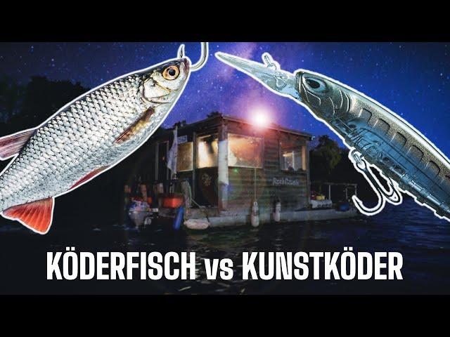 Köderfisch oder Wobbler? Auf Zander in Deutschland.