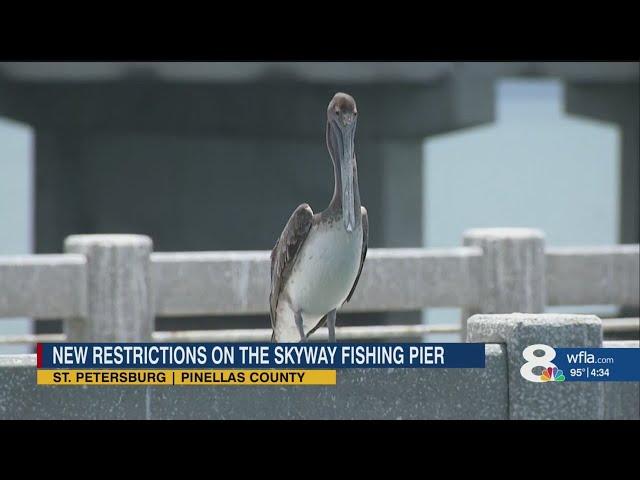 "They are dying": FWC hopes new Skyway fishing rules save pelicans