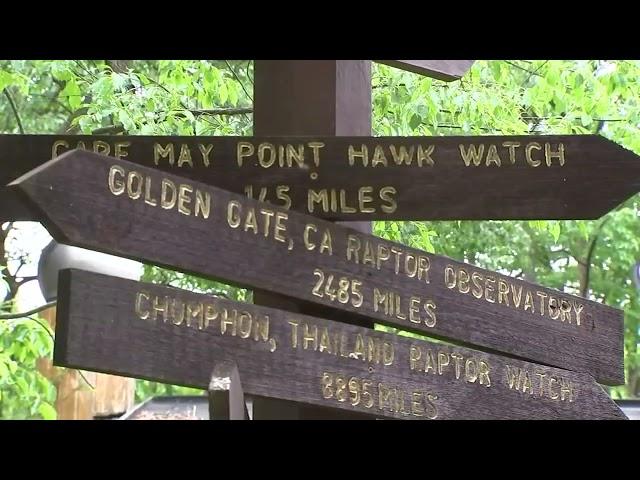 Hawk Mountain Sanctuary offers beautiful views and raptor sightings