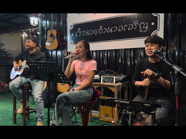 โฟล์คซอง ดนตรีสด เพลงเปิดร้านเหล้า เพลงใหม่ล่าสุด ดาวหางอัลเลย์ By วง morning market folkband