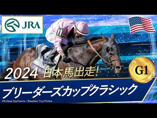 2024年 ブリーダーズカップクラシック（G1） | シエラレオーネ | JRA公式