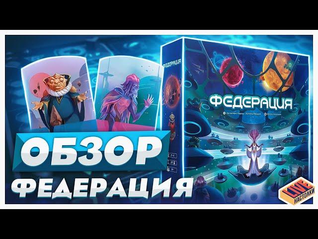 Обзор настольной игры Федерация